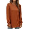 imageXIEERDUO Womens Long Sleeve Tops 2024 Fall Ruffle Puff Sleeve Cute Tunic Shirts DressyA01caramel