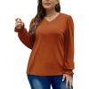 imageXIEERDUO Womens Long Sleeve Tops V Neck 2024 Fall Ruffle Puff Sleeve Cute Tunic shirts DressyCaramel