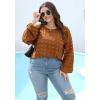 imageXIEERDUO Womens Chiffon Blouses Long Sleeve Crewneck Tops Dressy Casual Loose Pompom Shirts01caramel