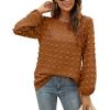 imageXIEERDUO Womens Chiffon Blouses Long Sleeve Crewneck Tops Dressy Casual Loose Pompom Shirts01caramel